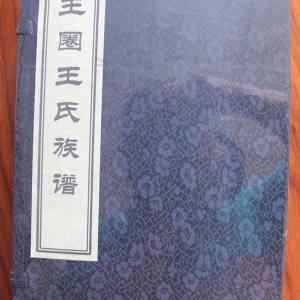 王圈王氏族譜