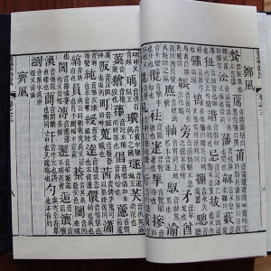 國(guó)學(xué)啟蒙讀本